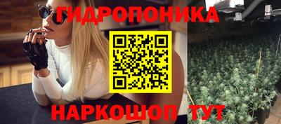 скорость Заволжье