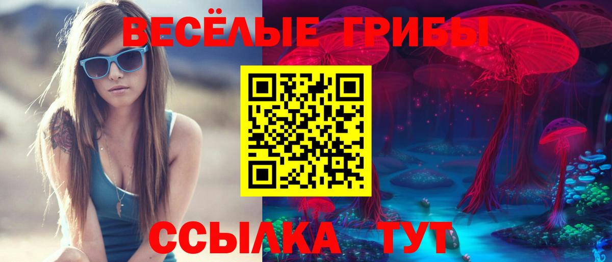 Псилоцибиновые грибы мицелий Ливны